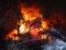 Brand einer Gartenhütte; Feuerbach, Seewiesen